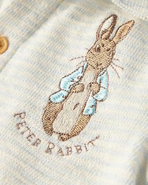 Baby Boys Peter Rabbit™ Embroidered Terry 2-Piece Outfit Set